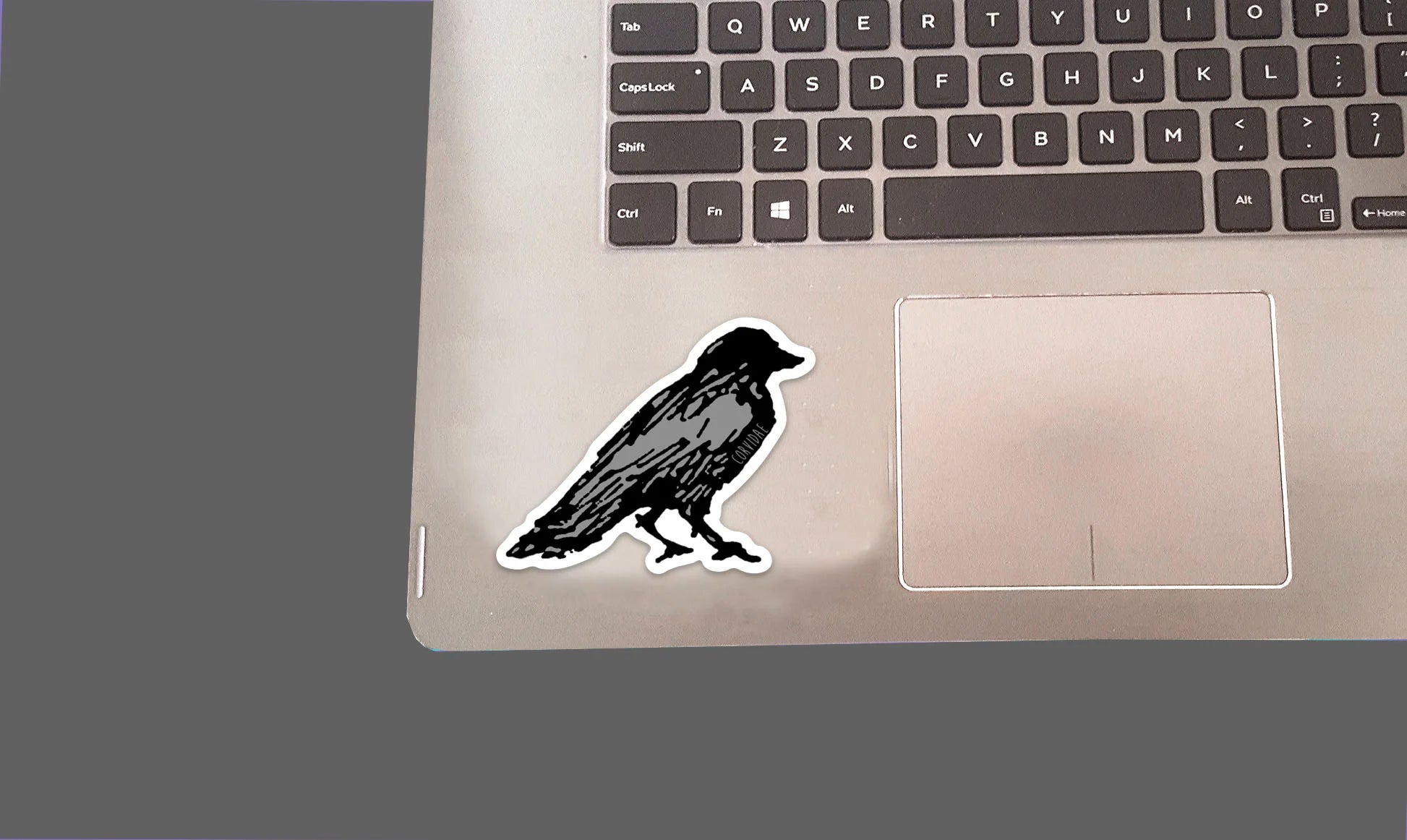Crow Sticker