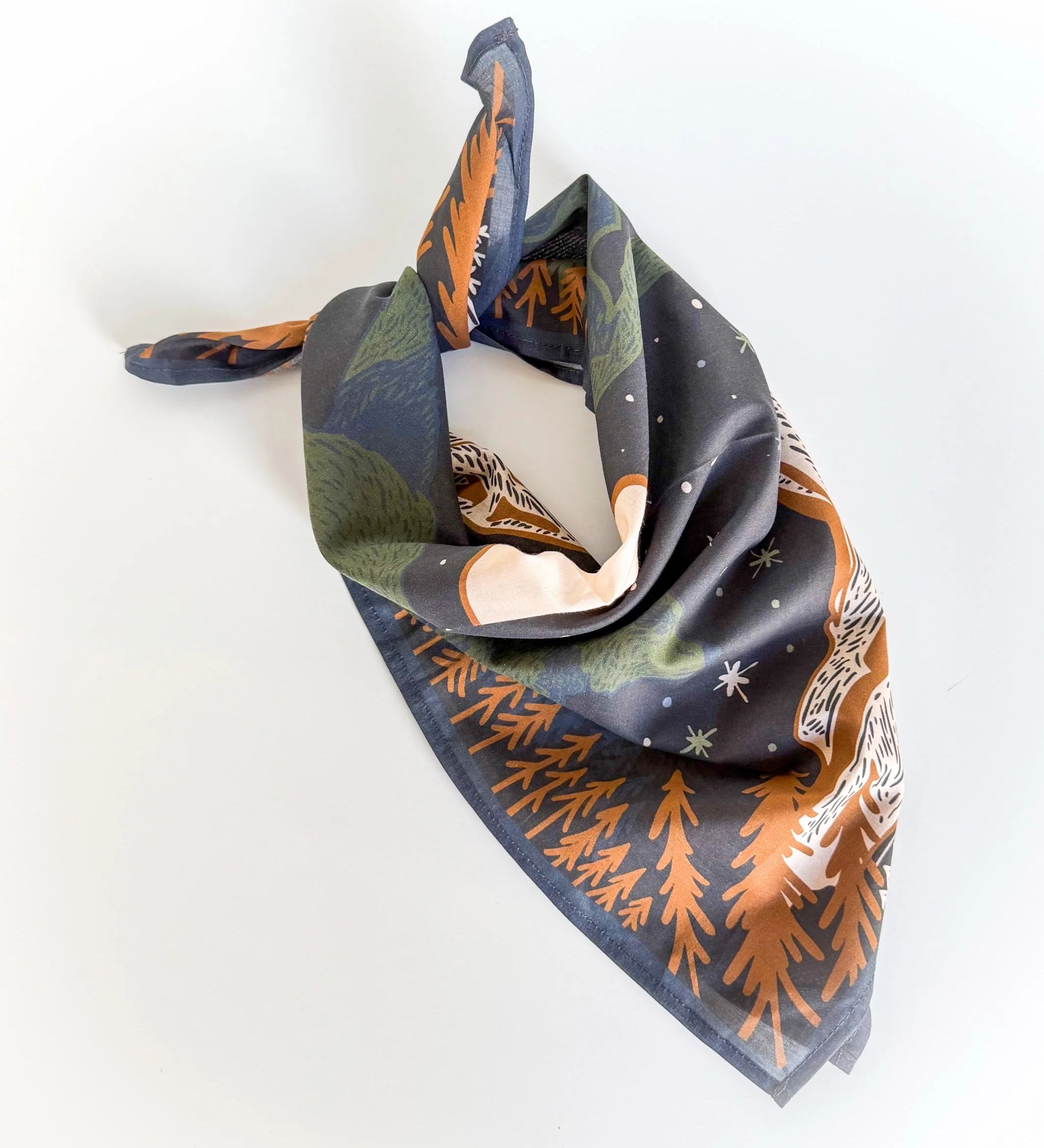 Solstice Night Bandana