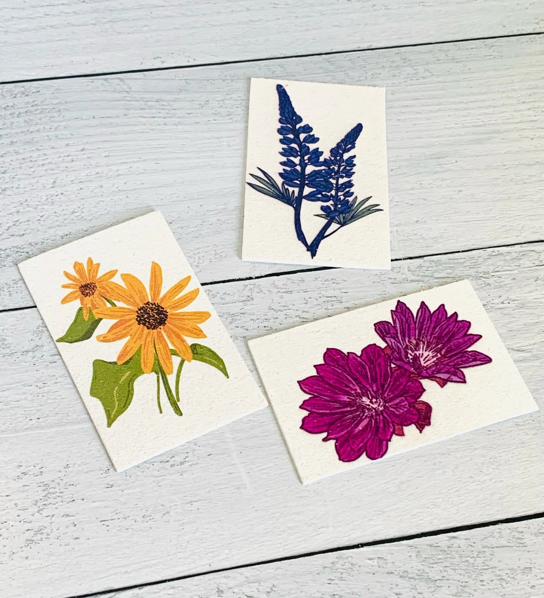 Wildflower Pop Up Sponges - 3 Pack