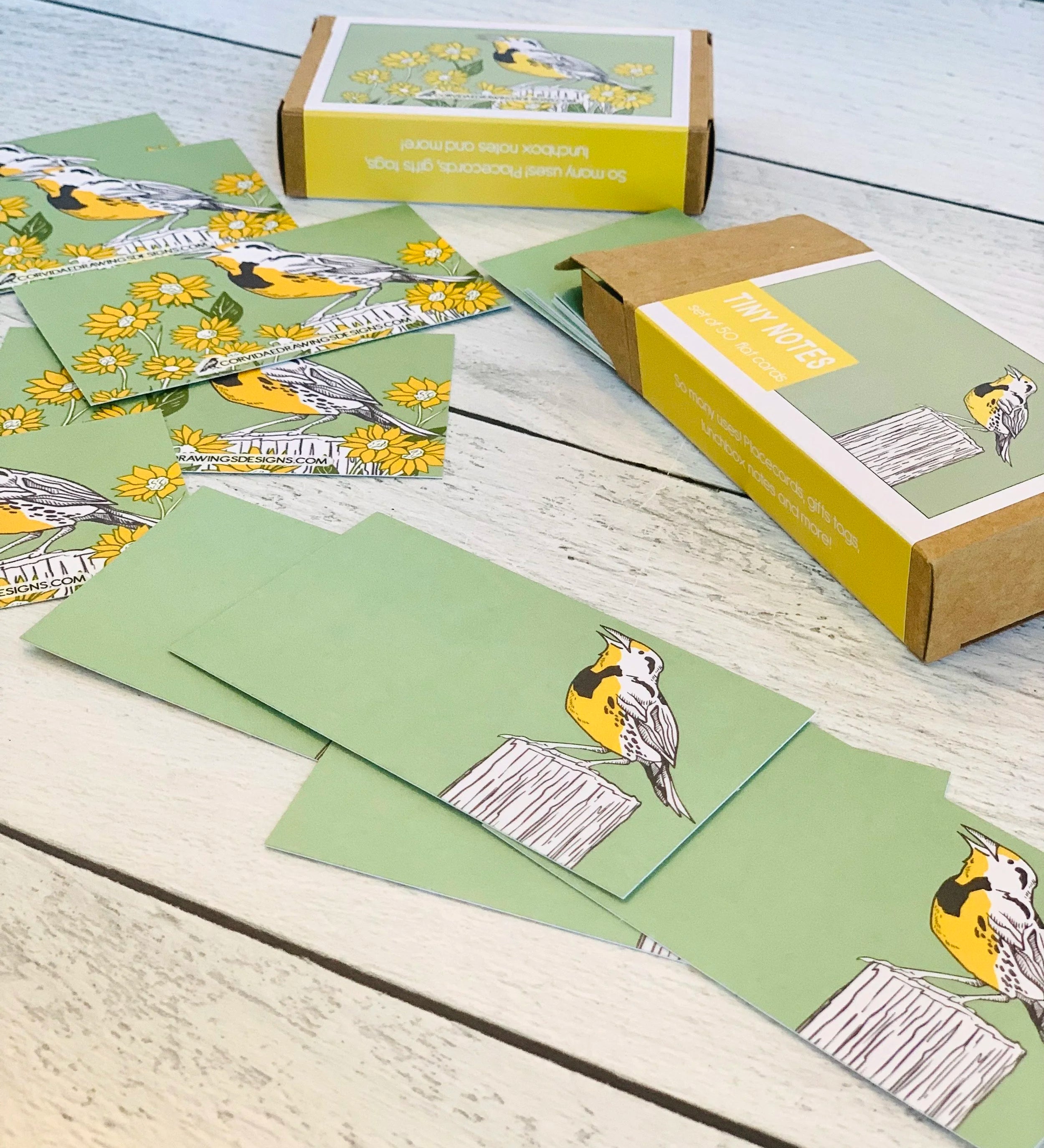 Meadowlark Wildflowers Tiny Notes